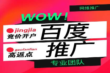 案例对比：不同竞价推广策略的优劣分析